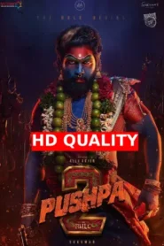 Pushpa 2 The Rule [Reloaded Version] (2024) Hindi Dubbed Netflix