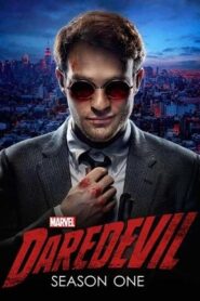 Marvels Daredevil (2015) Hindi Season 1 Complete